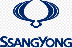 ssangyion